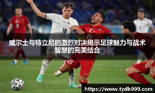 威尔士与特立尼的激烈对决揭示足球魅力与战术智慧的完美结合