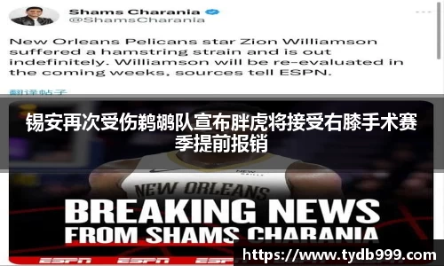OB视讯官网