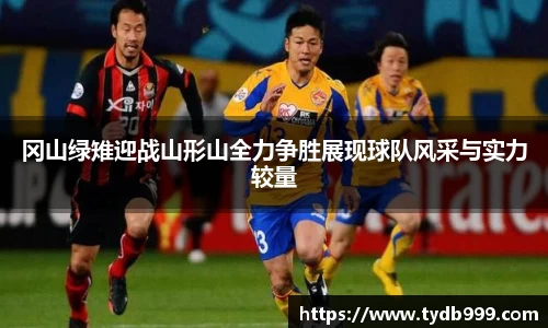 OB视讯官方网站